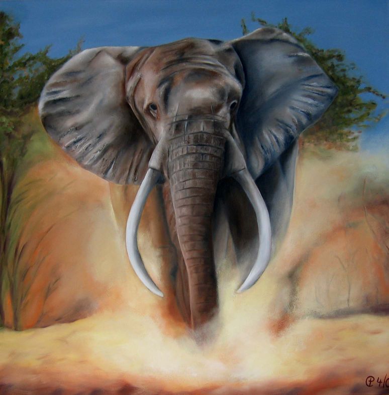Elefant (80 x 80 cm)