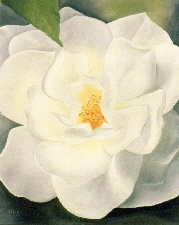 Wildrose (80 x 100 cm)